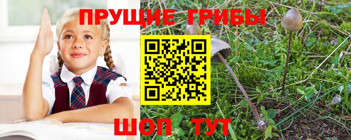 МЕФ кристаллы  Гашиш  Каннабис  Вход с VPN  Лсд 25  Похвистнево  ГАШИШ 